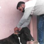 Shami Sewa Trust