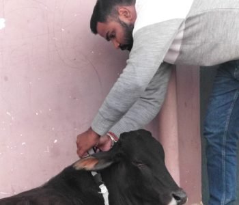 Shami Sewa Trust
