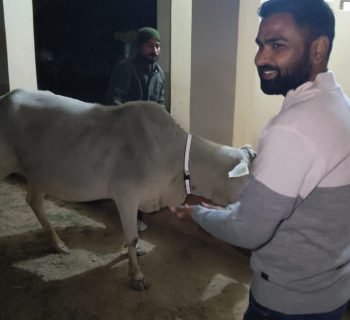 Shami Sewa Trust